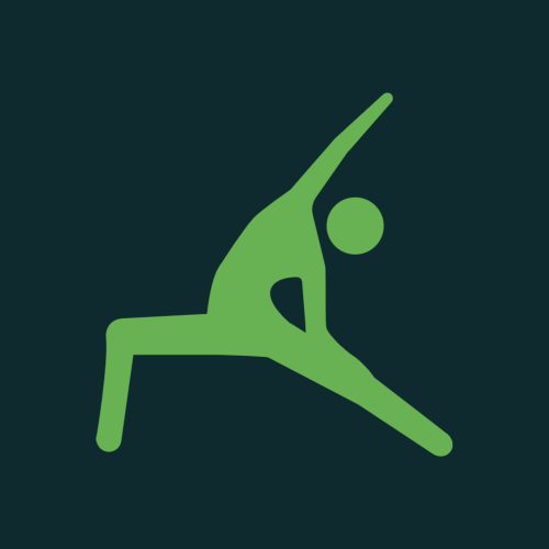 FitVibes Logo